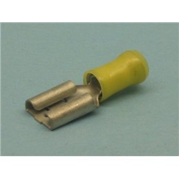 TERMINAL AMP 160524-2                             