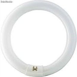 TUBO CIRCULAR 22W TRIFOSFORO 865                  