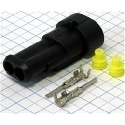 CAJETIN ESTANCO 2 PINES AEREO M                   