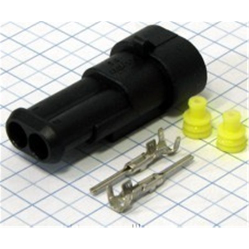 CAJETIN ESTANCO 2 PINES AEREO M                   