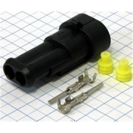 CAJETIN ESTANCO 2 PINES AEREO M                   