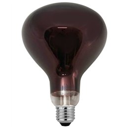 LAMPARA INFRARROJO 250W R125                      