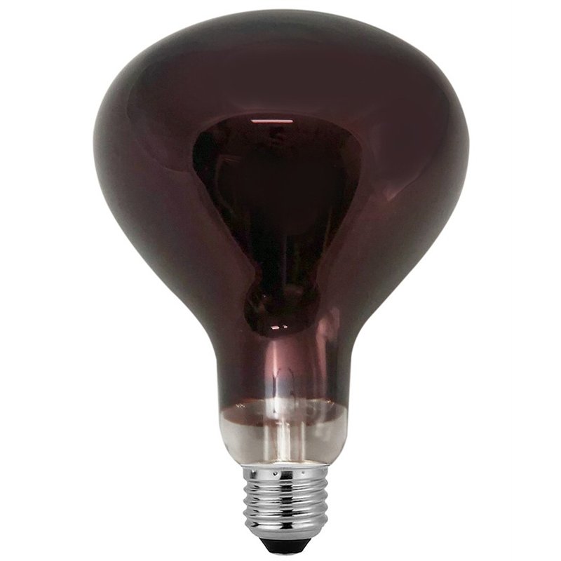 LAMPARA INFRARROJO 250W R125                      