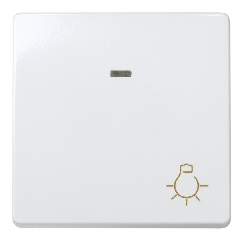 27161-65 PULSADOR ANCHO LUZ CON PILOTO S27        