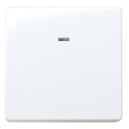 INTERRUPTOR ANCHO S27 CON PILOTO                  