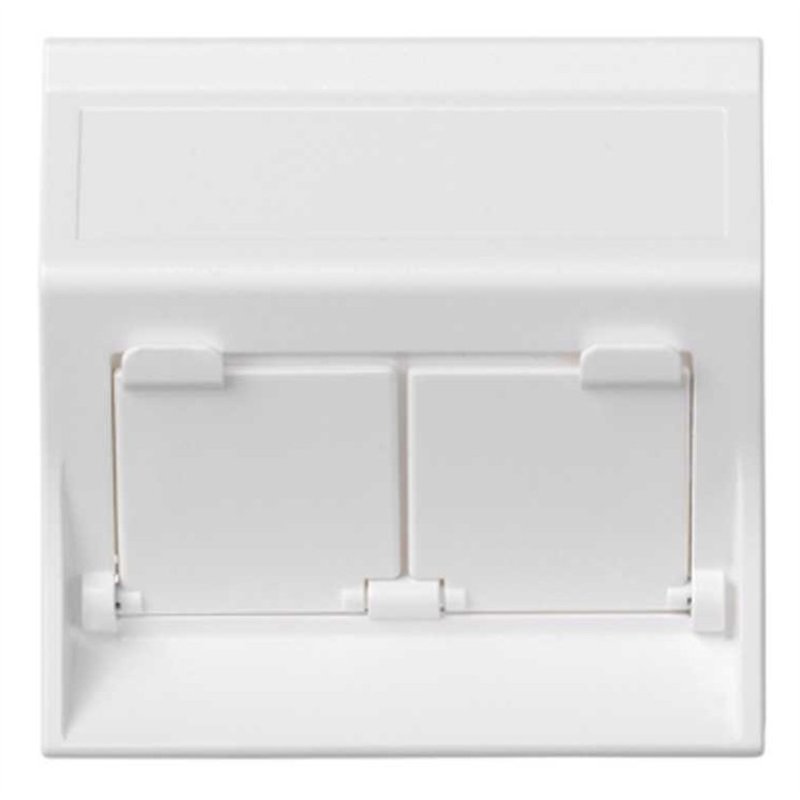 PLACA S500 2 RJ45 INCLINADA                       