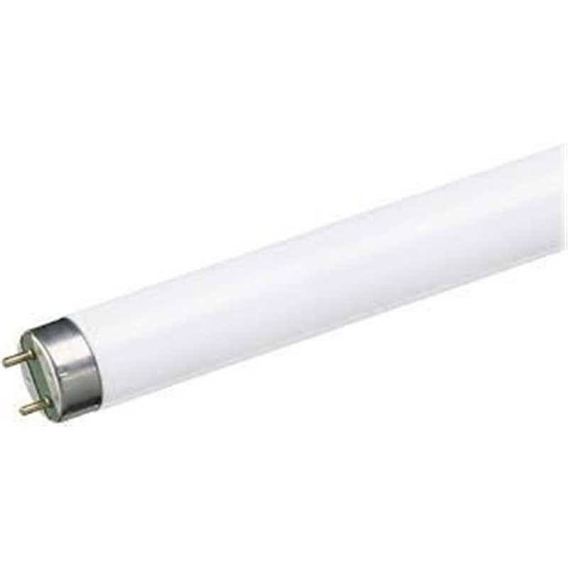 TUBO FLUORESCENTE 36W/865 TRIFOSFORO 120CM        