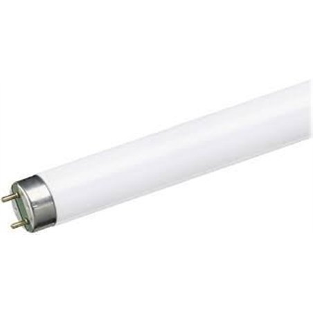 TUBO FLUORESCENTE 36W/865 TRIFOSFORO 120CM        