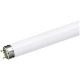 TUBO FLUORESCENTE 58W/865 TRIFOSFORO 150CM        