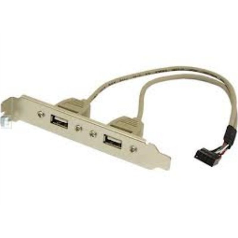 CONEXION BRACKET USB DOBLE A PLACA                