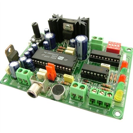 CEBEK TR2 SINTETIZADOR VOZ                        