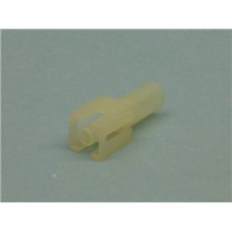 CAJETIN MATENLOK 1V H                             