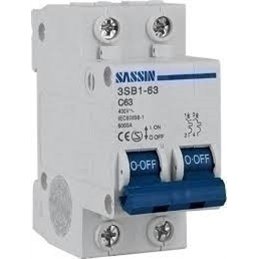 MAGNETOTERMICO 1P+N 63A                           