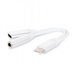 CONEXION ADAPTADOR USB Tipo-C / JACK 3,5          