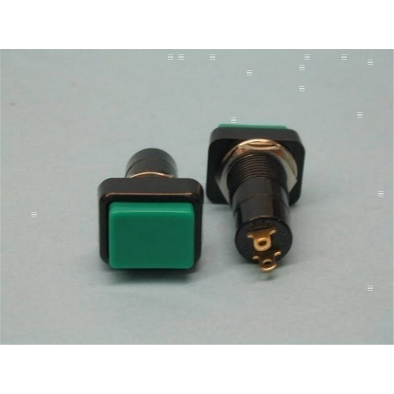 INTERRUPTOR PB308 VERDE                           