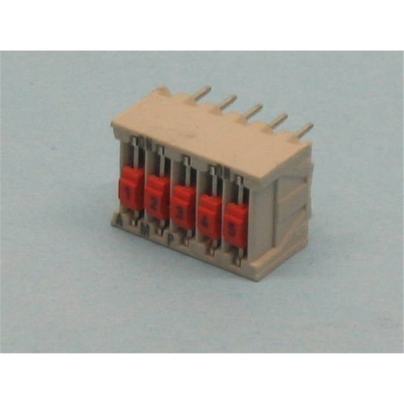 MICROINT 5V                                       