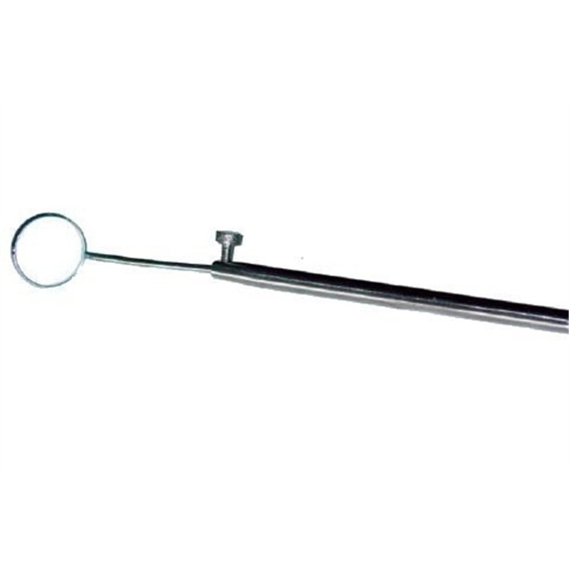 ESPEJO CON MANGO EXTENSIBLE                       