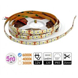 LED CINTA FLEXIBLE BLANCO FRIO 12V 5050 + FUENTE  