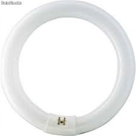 TUBO CIRCULAR 22W TRIFOSFORO 865                  