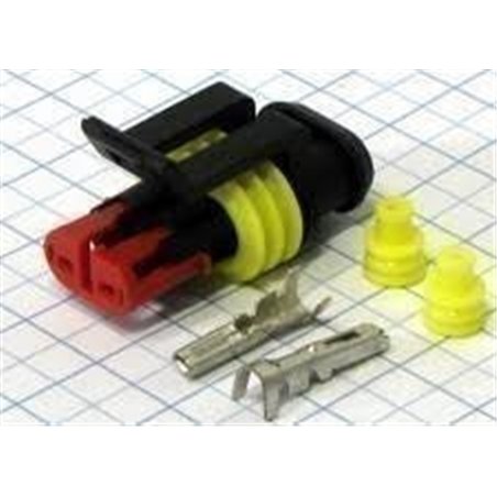 CAJETIN ESTANCO 2 PINES AEREO H                   