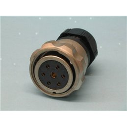 CONECTOR 37Y FICHA HEMBRA                         