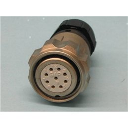 CONECTOR 29AE FICHA HEMBRA                        
